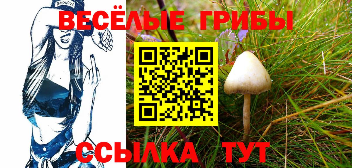 Галлюциногенные грибы прущие грибы  Галлюциногенные грибы ЛСД  Вход с VPN  Елизово 